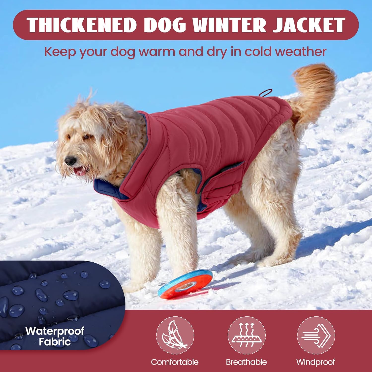 Thumbnail 3 de LeLePet Lelepet dog winter coat XS
