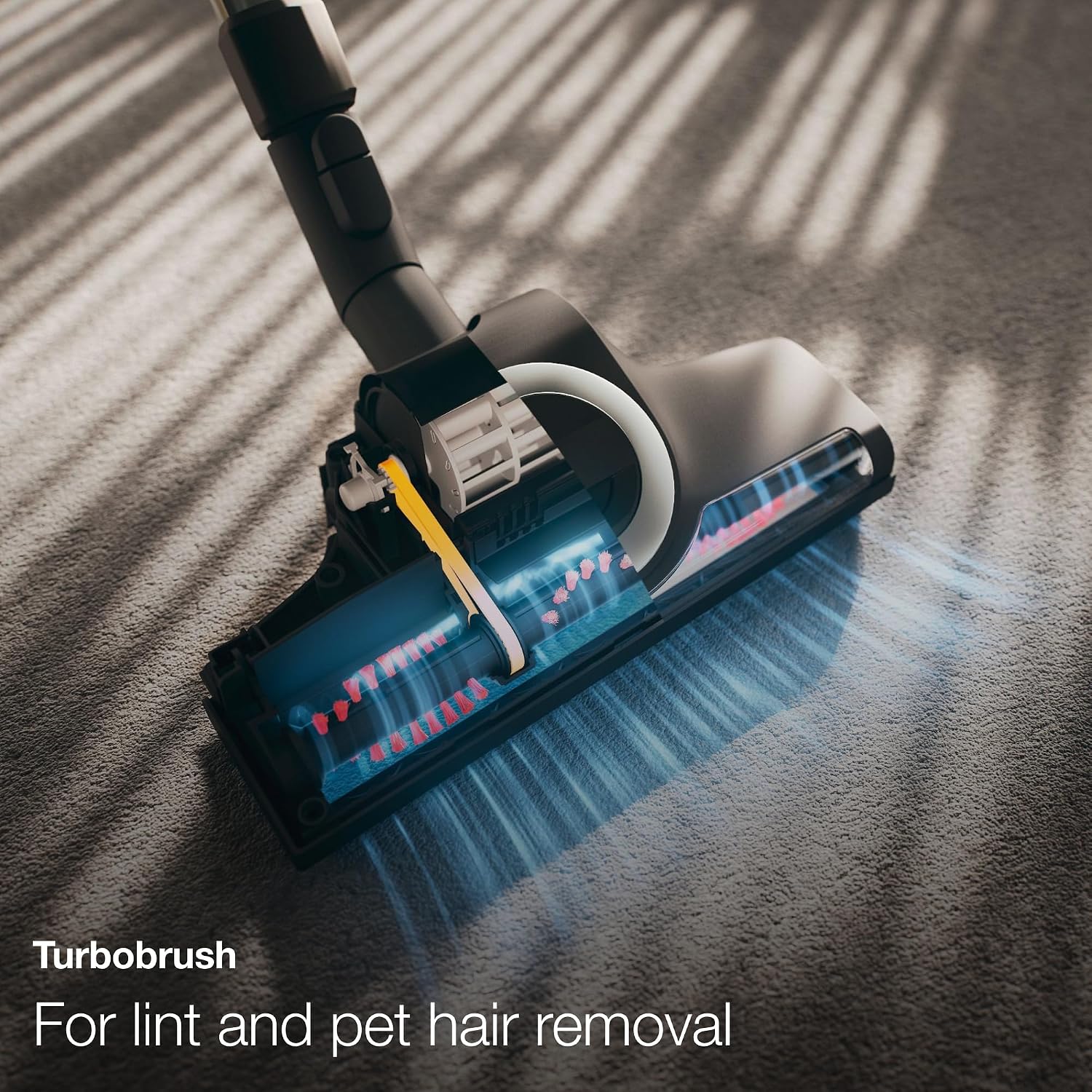 Detalle de Miele Canister Vacuum Classic C1