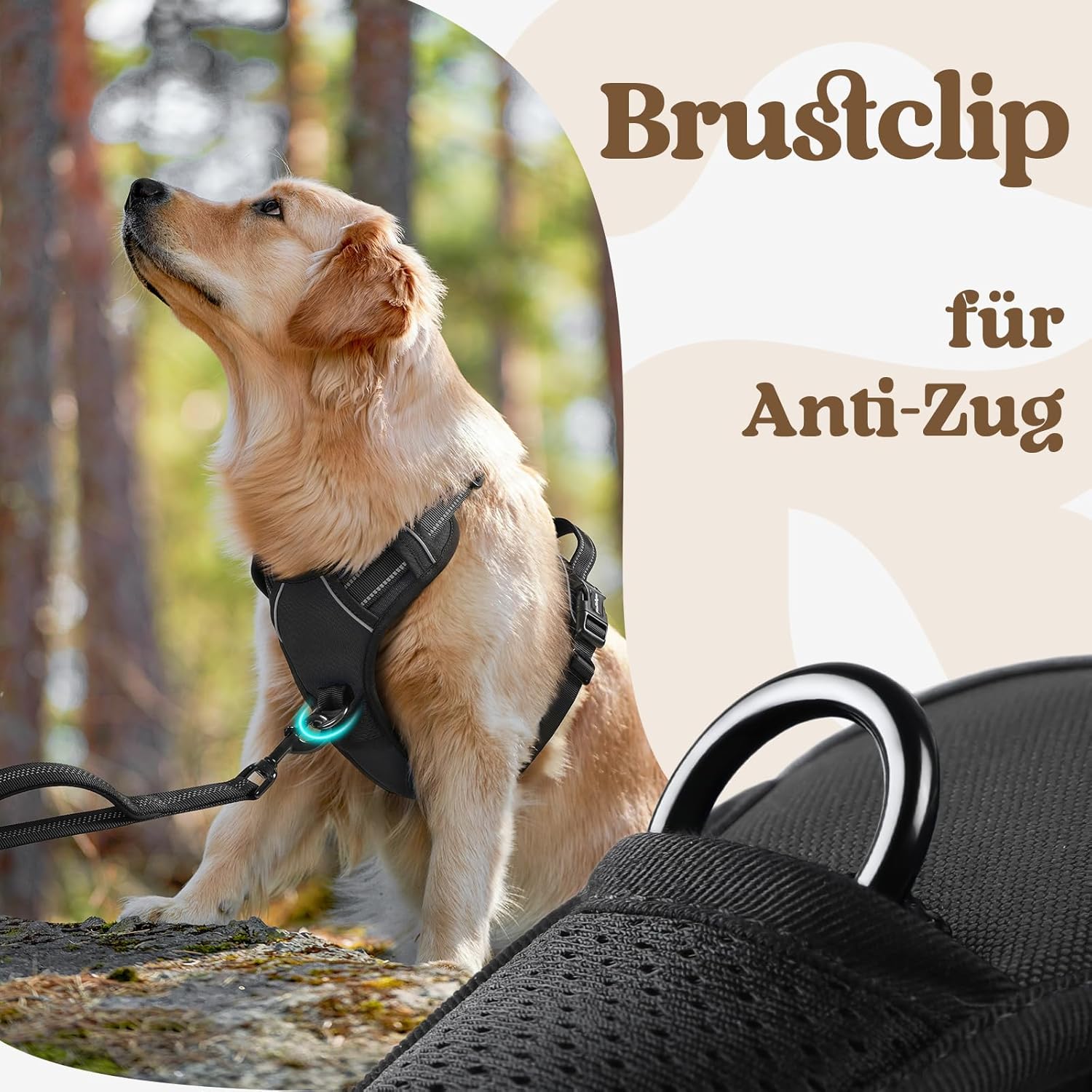 Detalle 2 de rabbitgoo Hundegeschirr für große Hunde (verstellbar, ohne Zug & Würgen) mit Griff – schwarz, Größe L