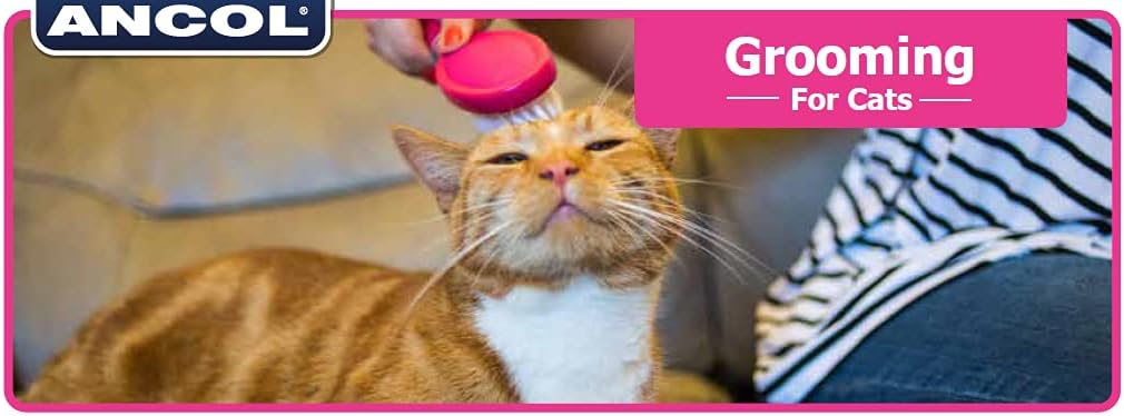 Thumbnail 2 de Ancol Ergo Fine Comb, clear – a practical grooming tool for cats