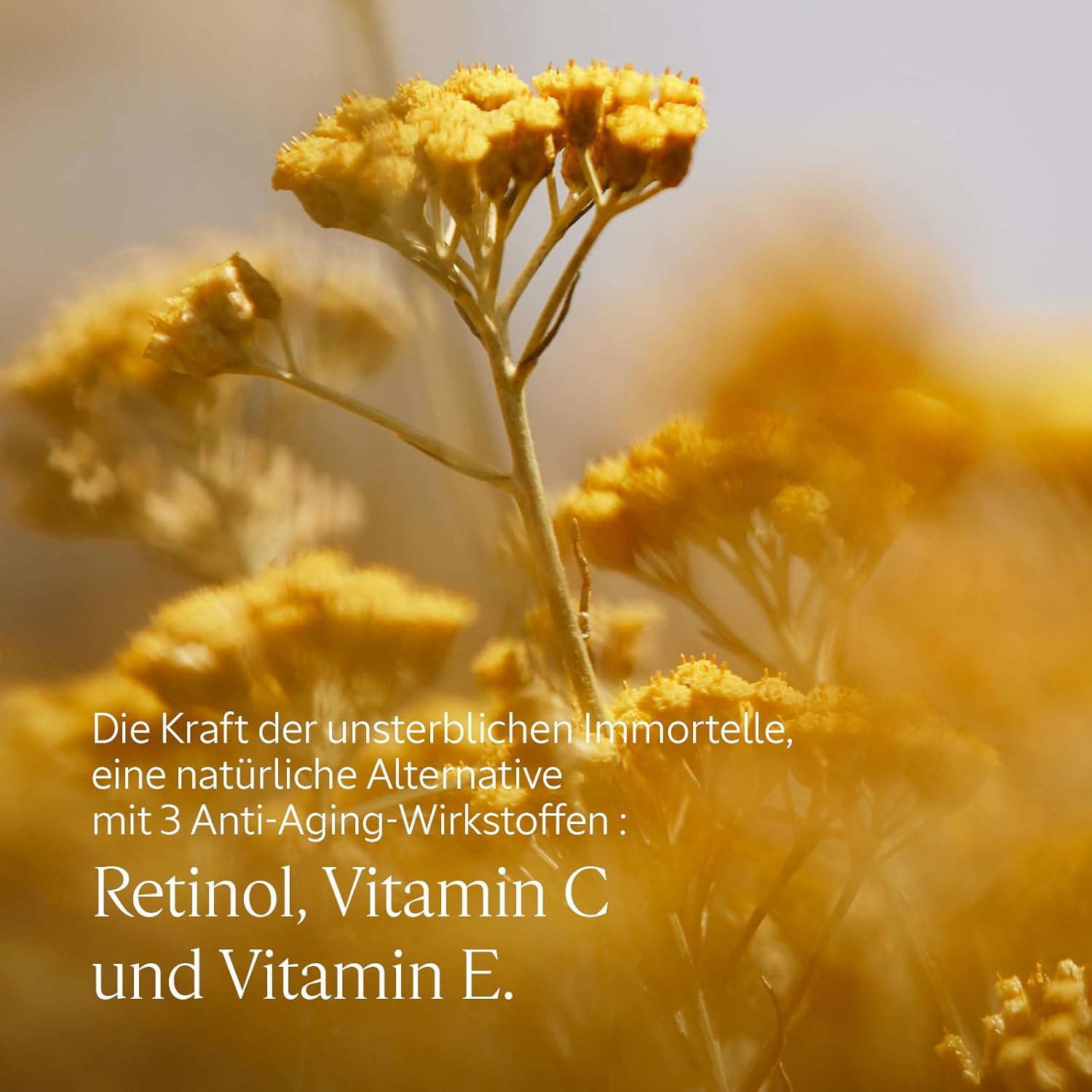 Thumbnail 1 de L’Occitane Precious Eye Balm (15 ml) – Pflege für einen sichtbar erholteren Blick