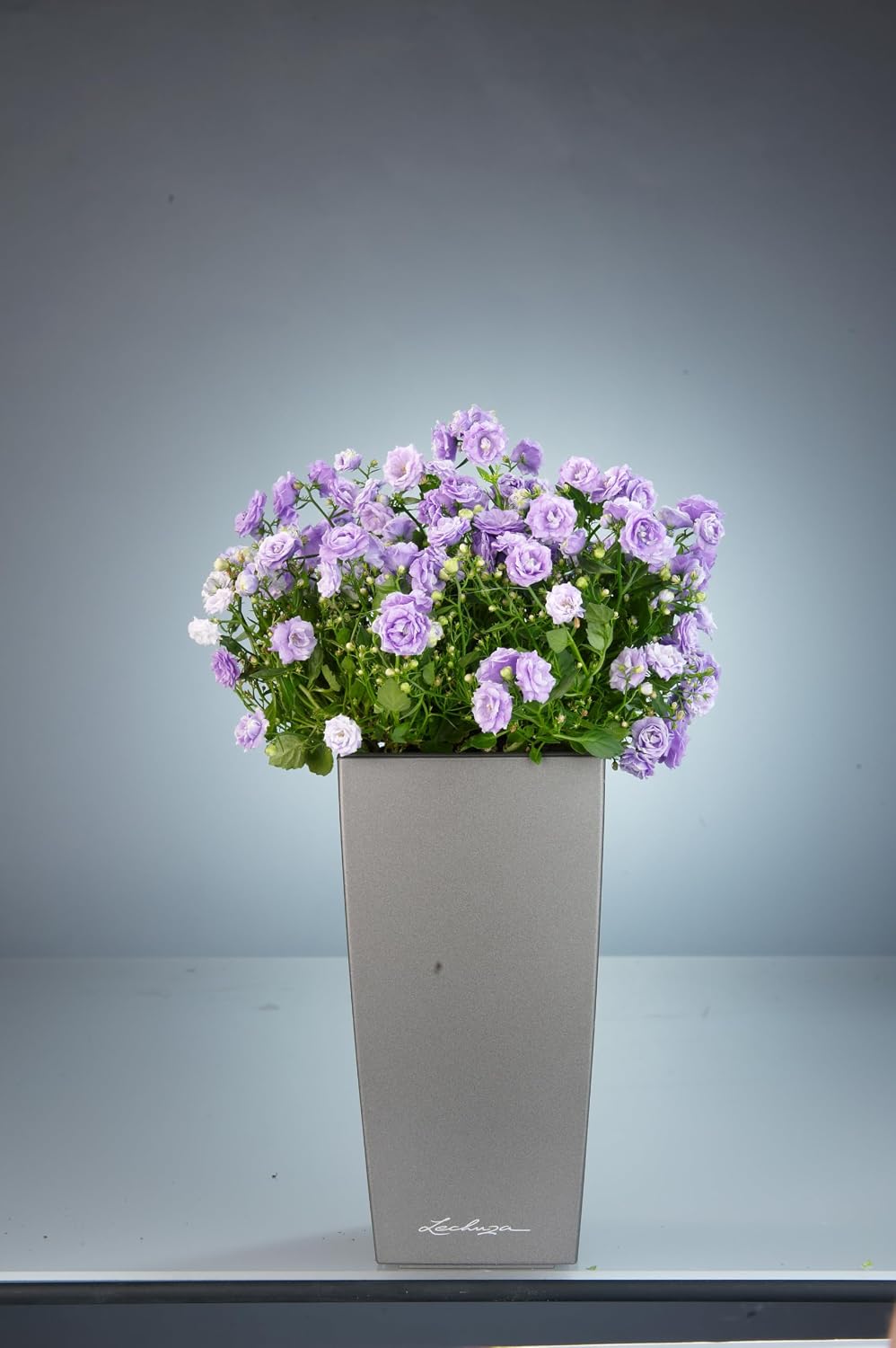 Detalle de LECHUZA Mini Cube 18123 planter, metallic anthracite with watering system