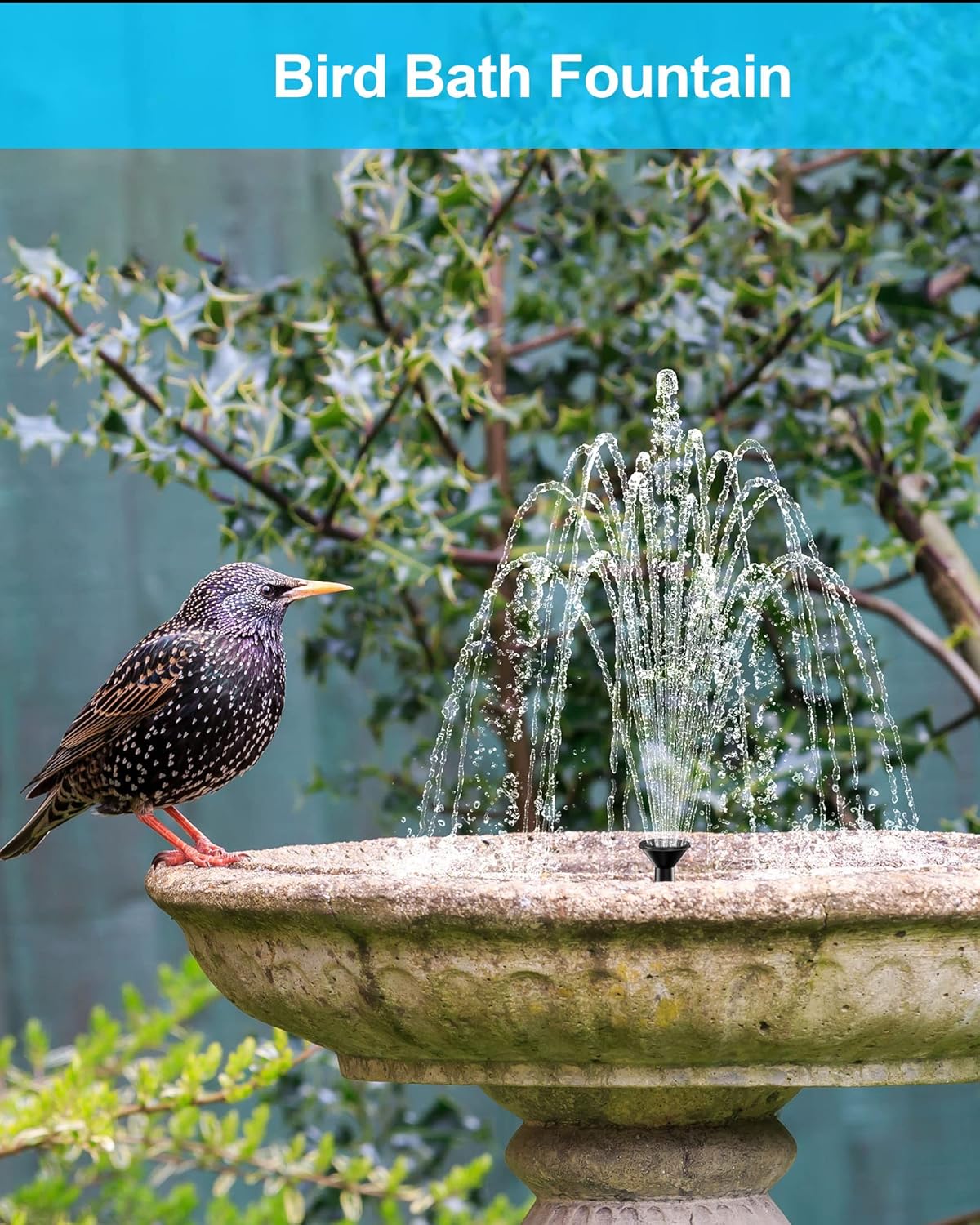 Detalle 2 de Biling Solar Water Fountain Pump for Bird Bath (2.5W) with 6 Nozzles and 4ft Tubing
