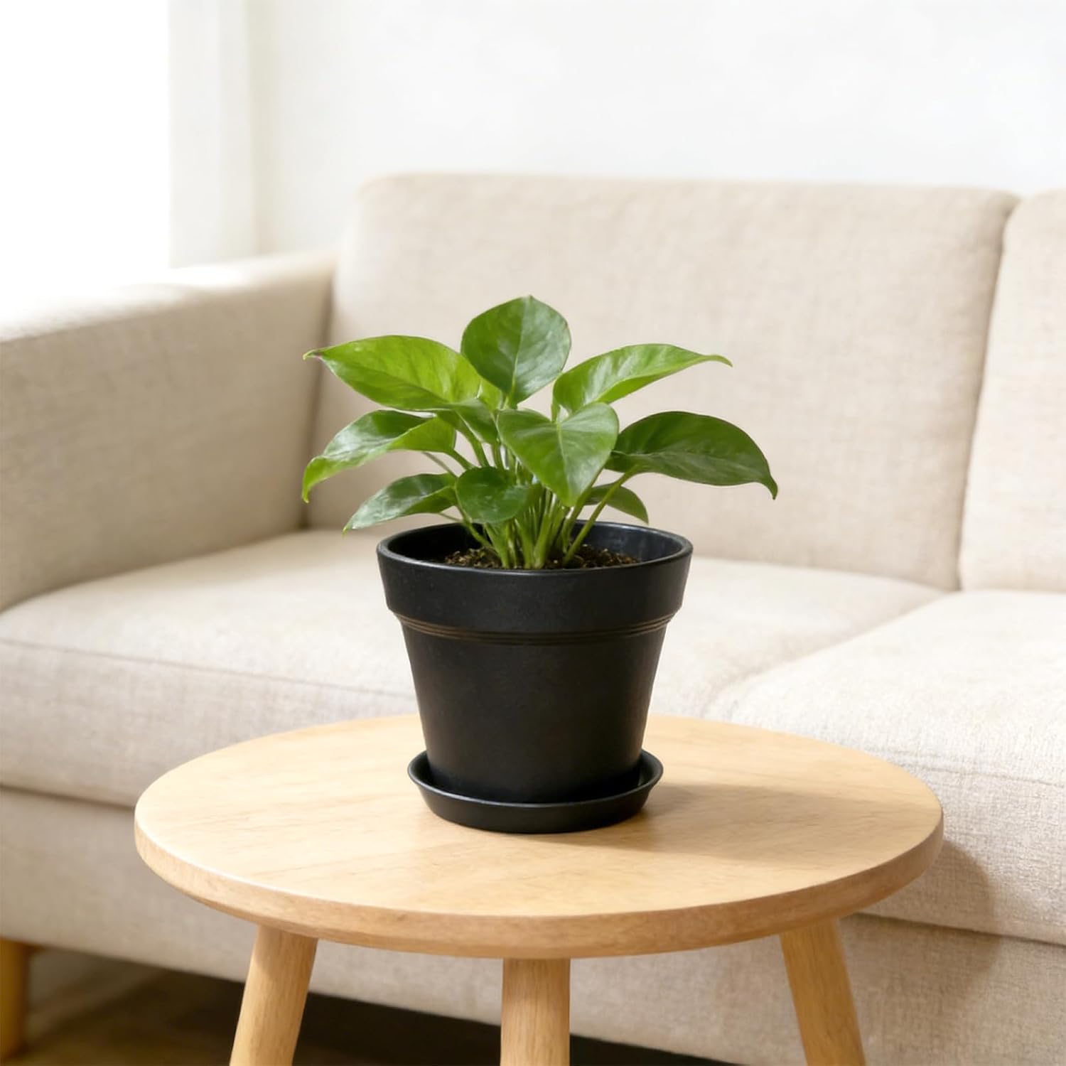 Thumbnail 3 de KINGLAKE 6-Piece 15cm Plastic Plant Pots with Drainage and Trays – Indoor/Outdoor Nordic Style