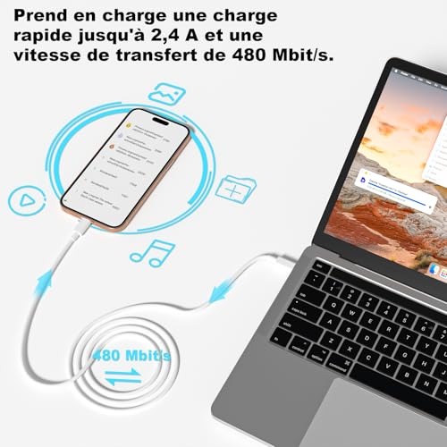 Detalle de BSTOEM Câble USB-C vers USB-C 60W – 1 m + 2 m, charge rapide et renforcé