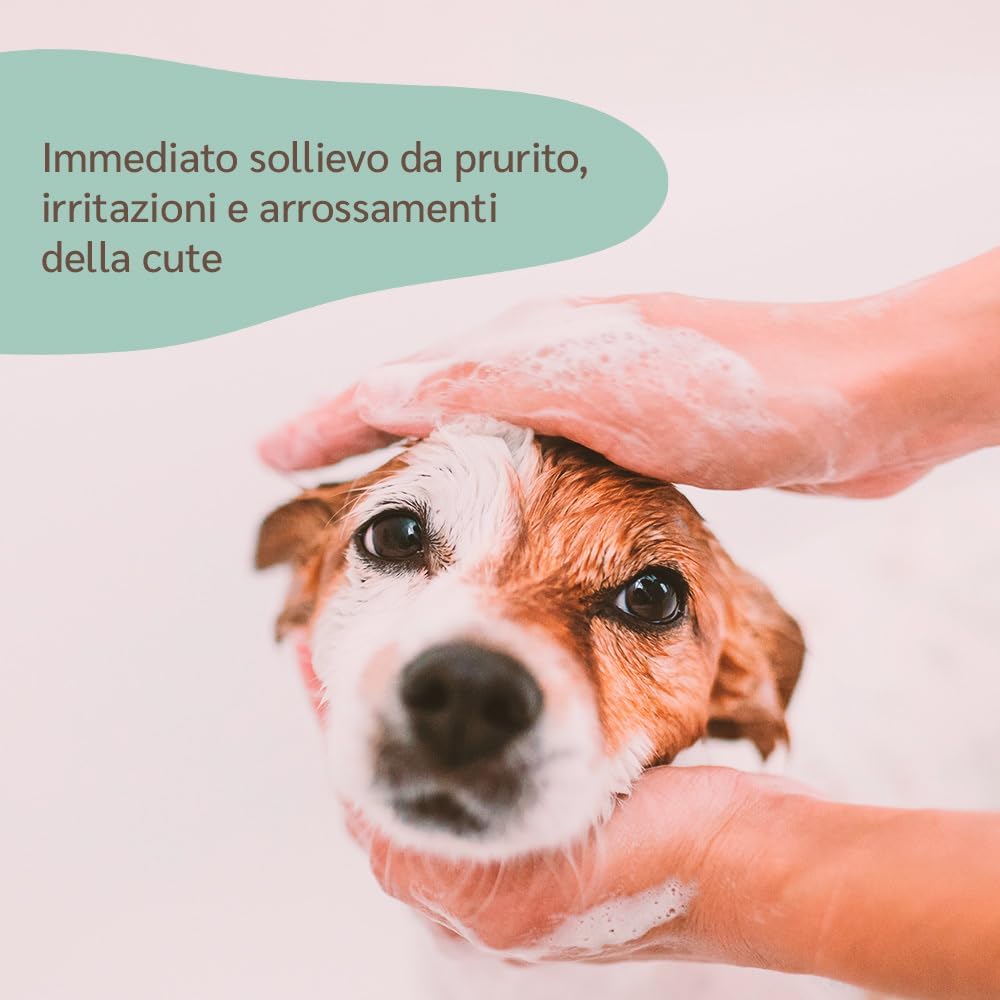 Thumbnail 3 de amusi Shampoo per Cani con Dermatite 250 ml: effetto calmante per cute sensibile