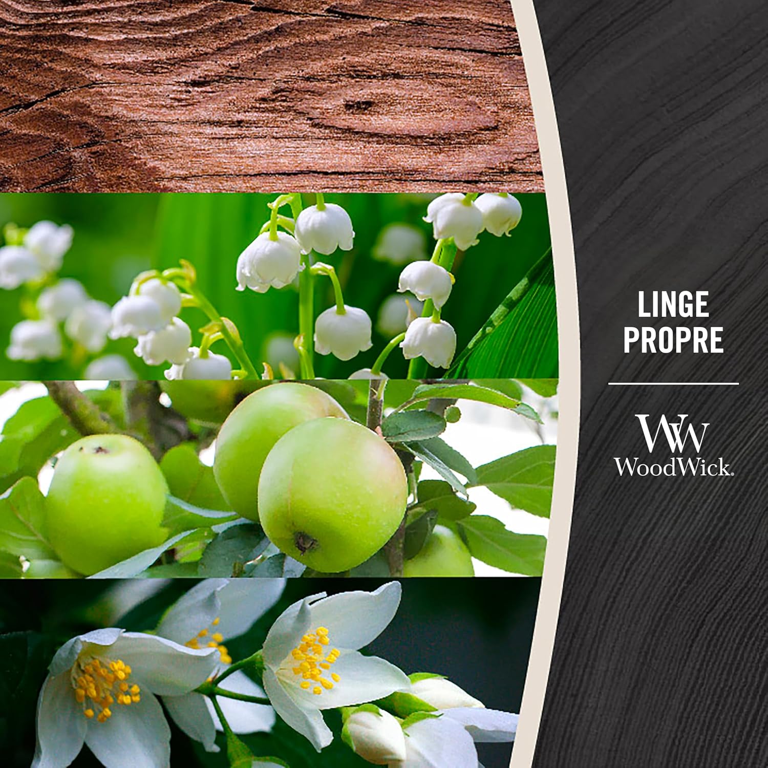Detalle de WoodWick bougie parfumée moyenne Mèche en bois – Linge propre, jusqu’à 20 h