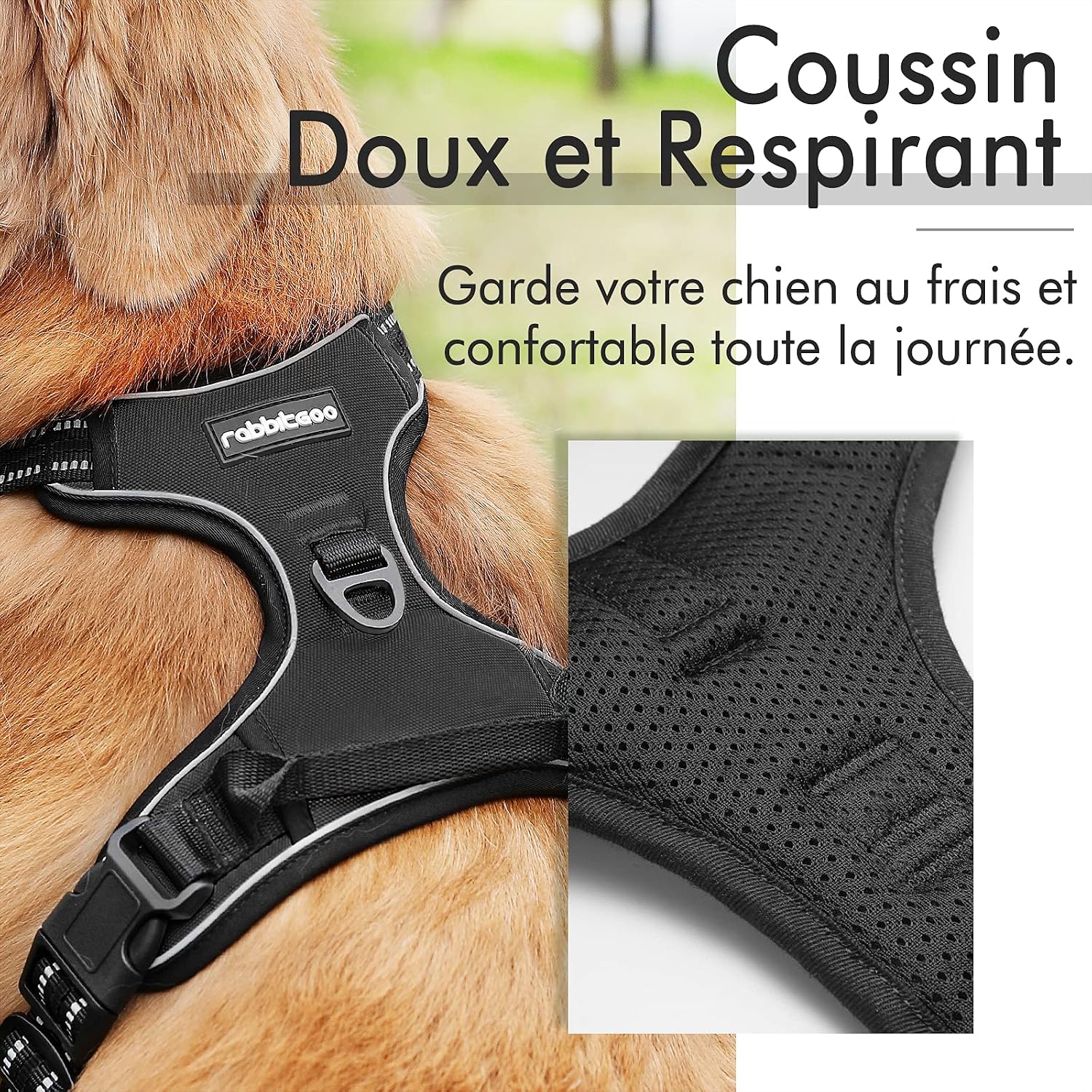 Detalle de Rabbitgoo Harnais Chien Réglable Gilet avec Poignée et Réflectant — Taille M (41-56 cm/38-71 cm)