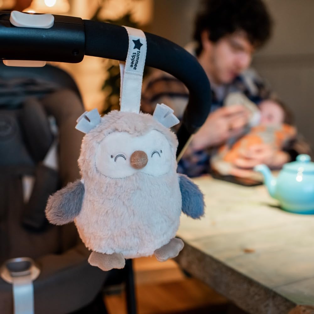 Detalle de Tommee Tippee Mini OllieOwl sleep aid