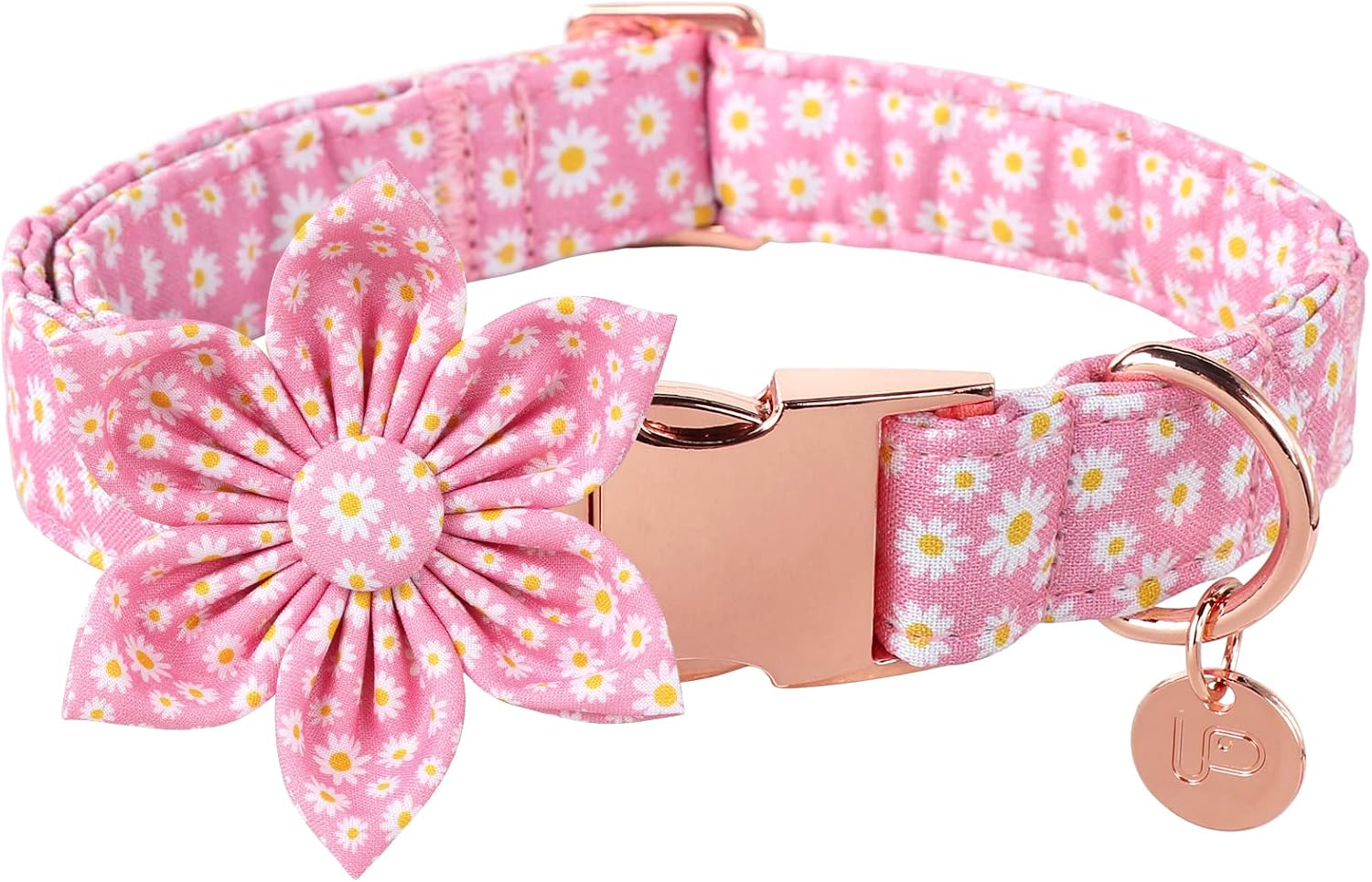 Detalle de UP URARA PUP Dog Collar, Medium