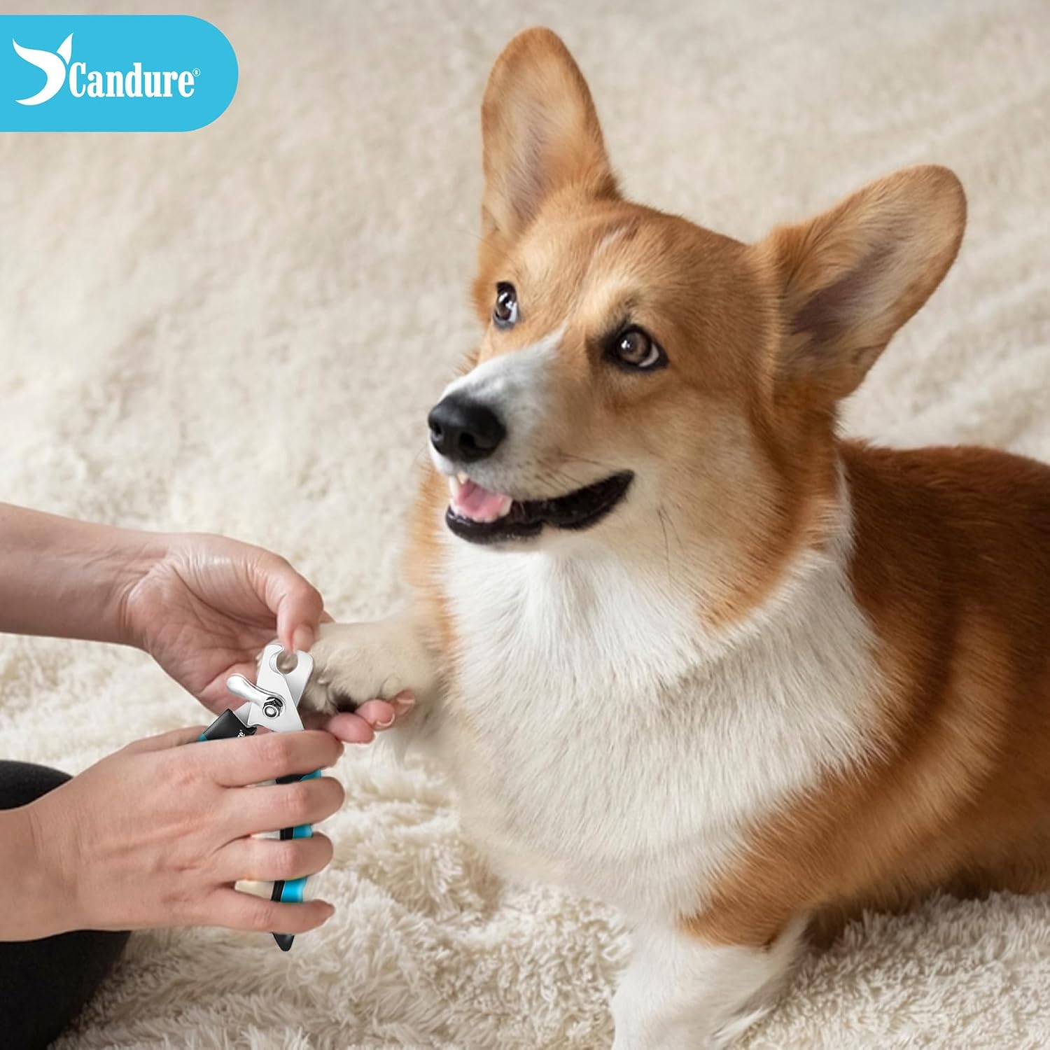Detalle de Candure Profi Krallenschere für Hunde und Katzen – 6" Edelstahl mit Nagelfeile, Sicherheitsmechanismus und Hohe Qualität