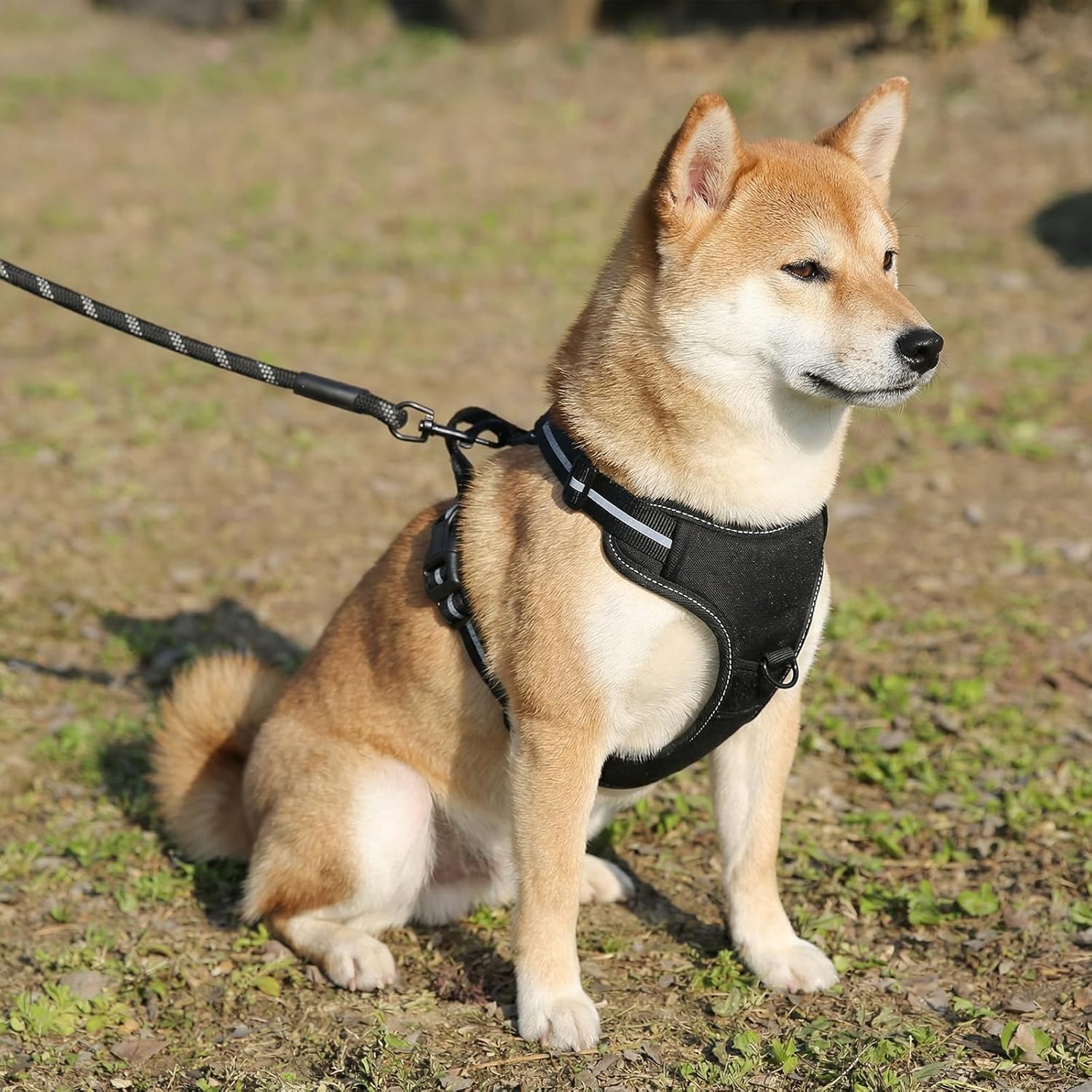 Detalle de Amazon Basics No-Pull Front Clip Dog Harness for Small Dogs — Medium, Black