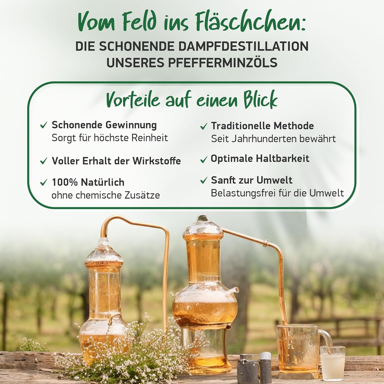 Detalle de Bio Pfefferminzöl Pfefferminzöl natürlich