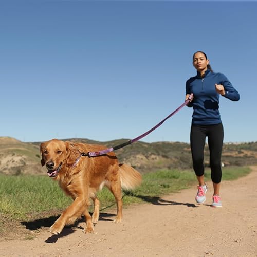 Detalle de HALTI Correa Activa talla L, manos libres, reflectante 🐕