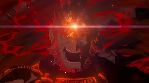 Detalle de The Legend of Zelda : Tears of the Kingdom – Nintendo Switch 2 Edition