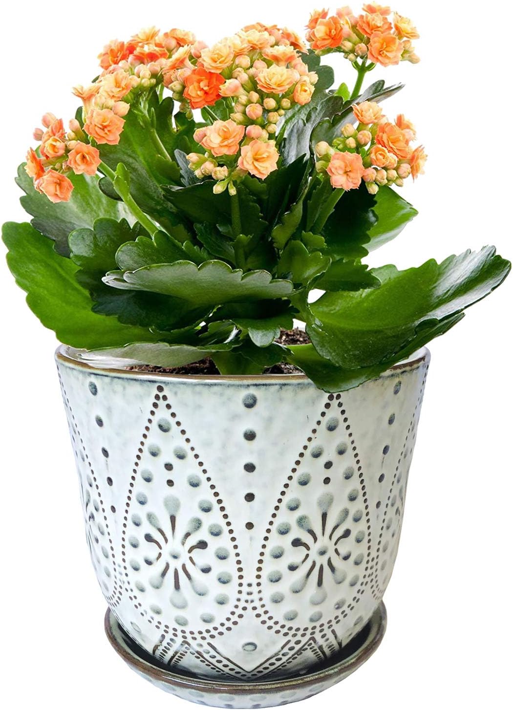 Detalle 2 de Gepege 6 Inch Beaded Ceramic Planter Set (2)