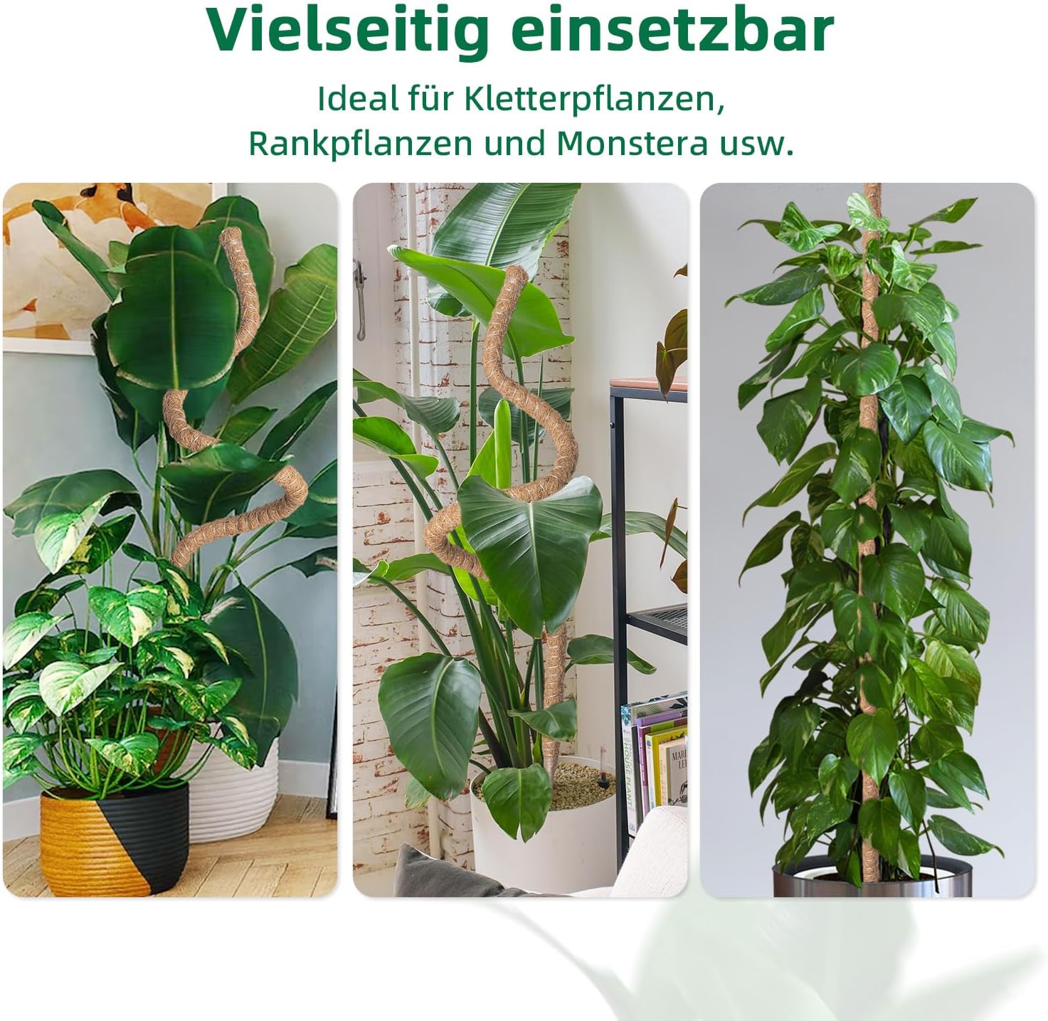 Thumbnail 5 de Mcbazel 160 cm Monstera Rankhilfe aus Kokosfaser mit Zubehör – Pflanzenstütze für Kletterpflanzen im Innenbereich