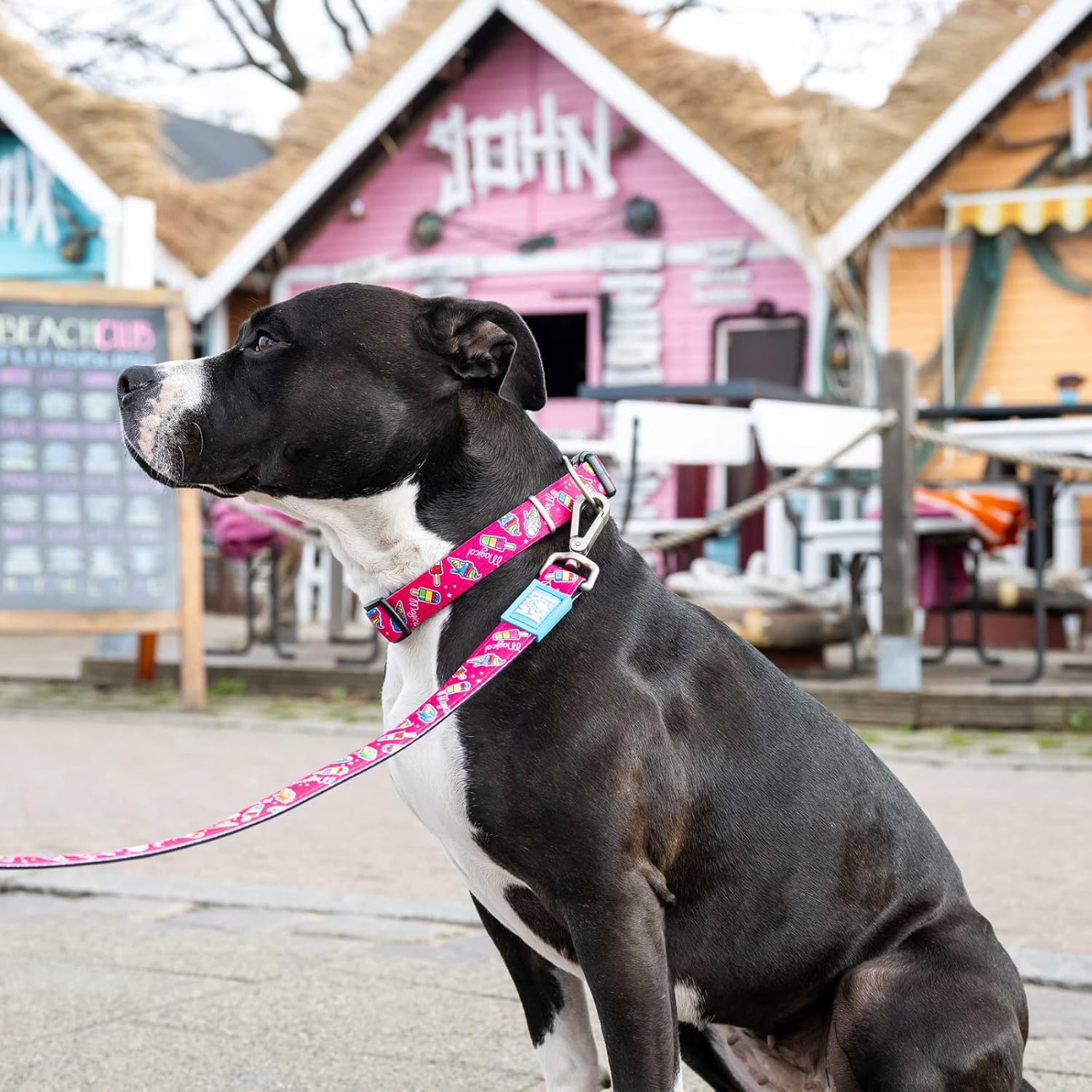 Detalle de Max & Molly Gotcha! Smart ID Hundehalsband Magical (mit QR-Code), M