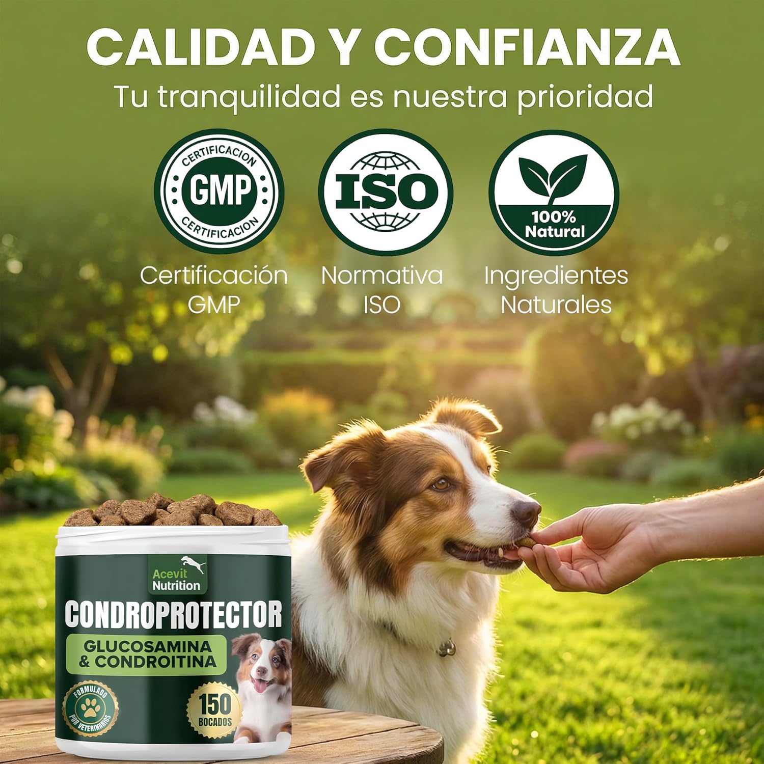 Thumbnail 6 de Acevit Nutrition Condroprotector para Perros 100% Natural (150 uds) con glucosamina, condroitina y MSM
