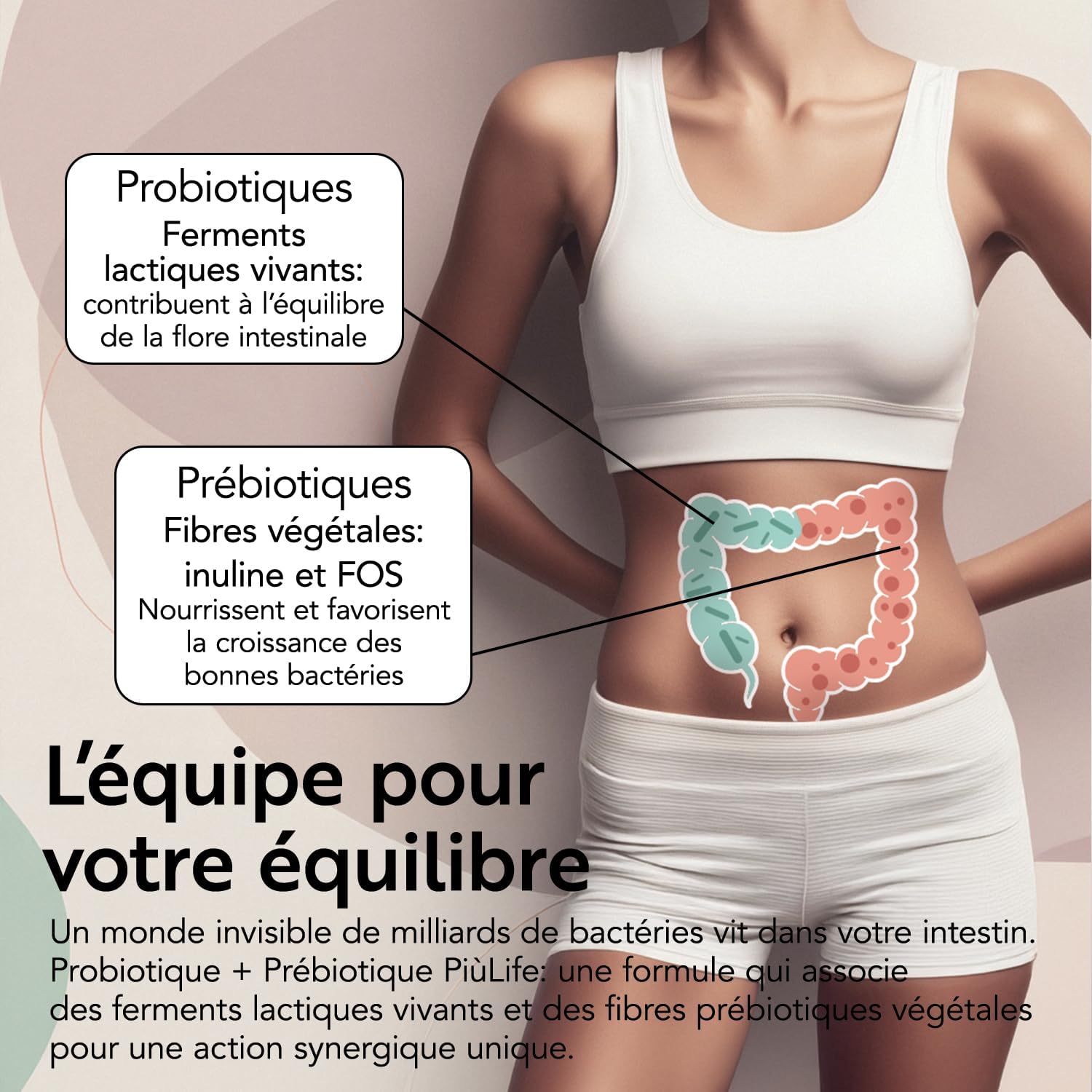 Detalle 2 de Probiotique Flore Intestinale PiùLife : 120 gélules avec 40 milliards UFC et 20 souches