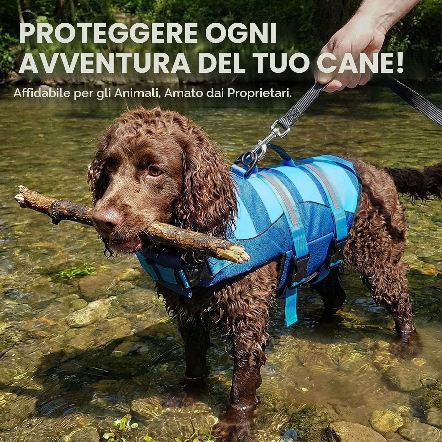 Thumbnail 6 de ASENKU Giubbotto Salvataggio per Cane – Salvagente ad Alta Visibilità per Cani di Taglia Media (M)