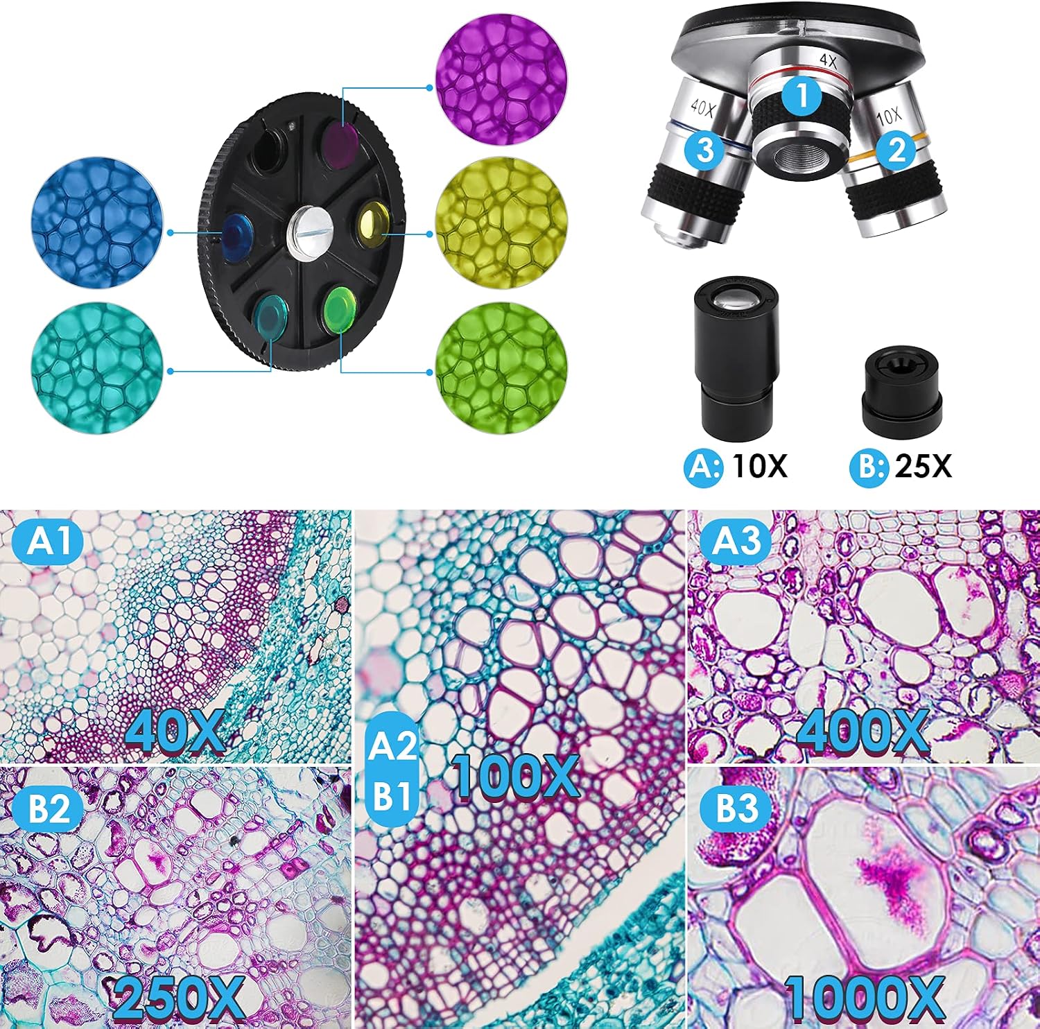 Thumbnail 2 de Cowiewie – kit de microscope biologique pour enfants, étudiants et adultes (40x à 1000x) avec lames et adaptateur téléphone