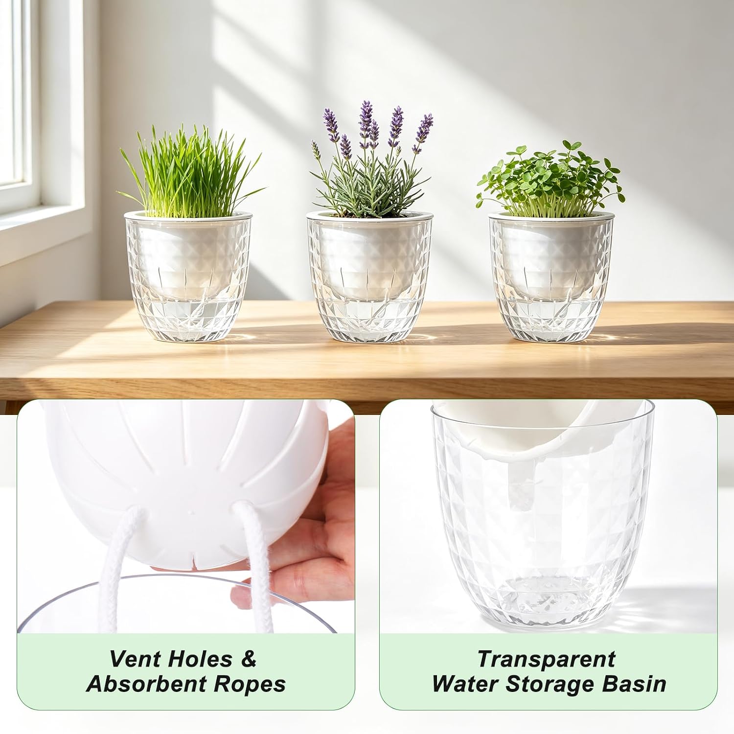 Detalle 1 de Yimomoyi Self-Watering Plant Pots, 11 cm