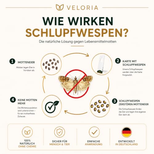 Detalle de VELORIA Schlupfwespenkarten gegen Lebensmittelmotten, 4 Karten, 0,4 mm