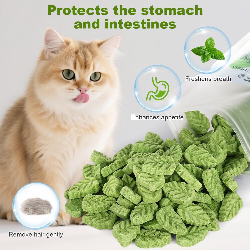 Detalle de OSDUE Katzengras-Snack (100 g) – Katzengras-Teething-Sticks mit Gefriergetrocknung