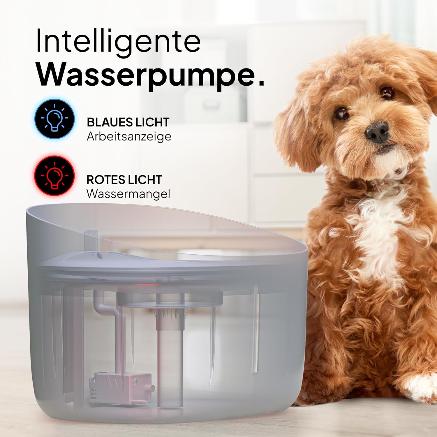 Thumbnail 6 de Pretty Paw Trinkbrunnen 7 L für Hunde