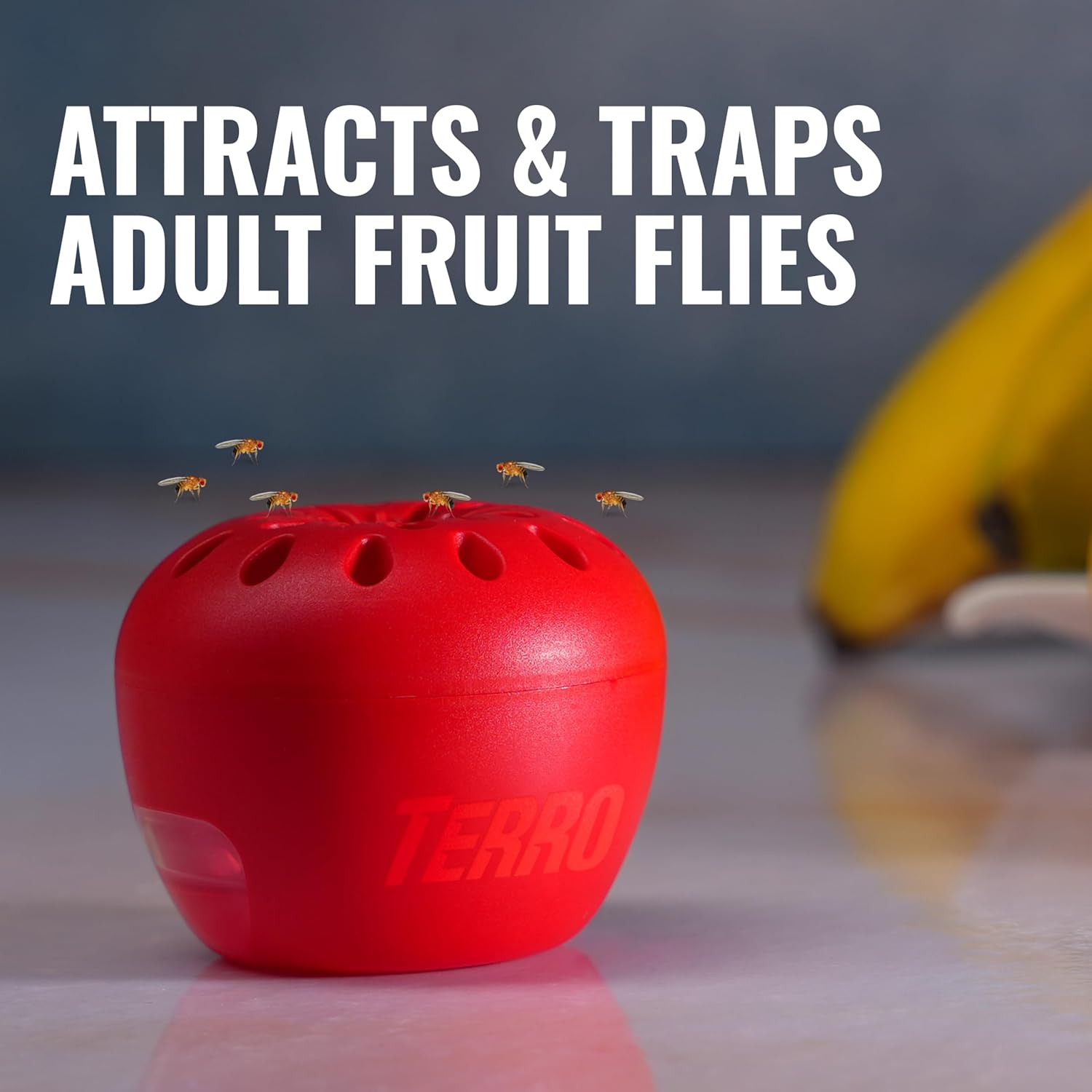 Detalle 2 de TERRO T2503SR Fruit Fly Traps 180 Days 🪲