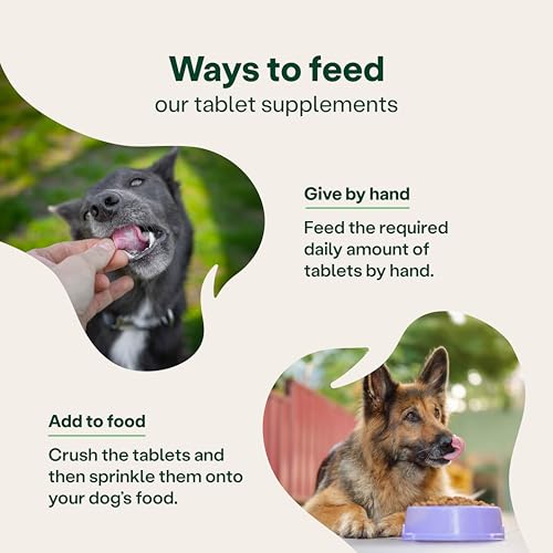 Detalle de YuMOVE Joint Supplement for Dogs: Higher Strength Joint Care for Adult Dogs Aged 6–8 (120 Tablets)