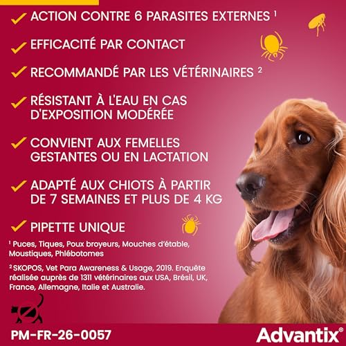 Detalle de Advantix Petit Chien 4–10 kg, 4 pipettes de 1,0 ml – Protection antiparasitaire externe sur 4 semaines