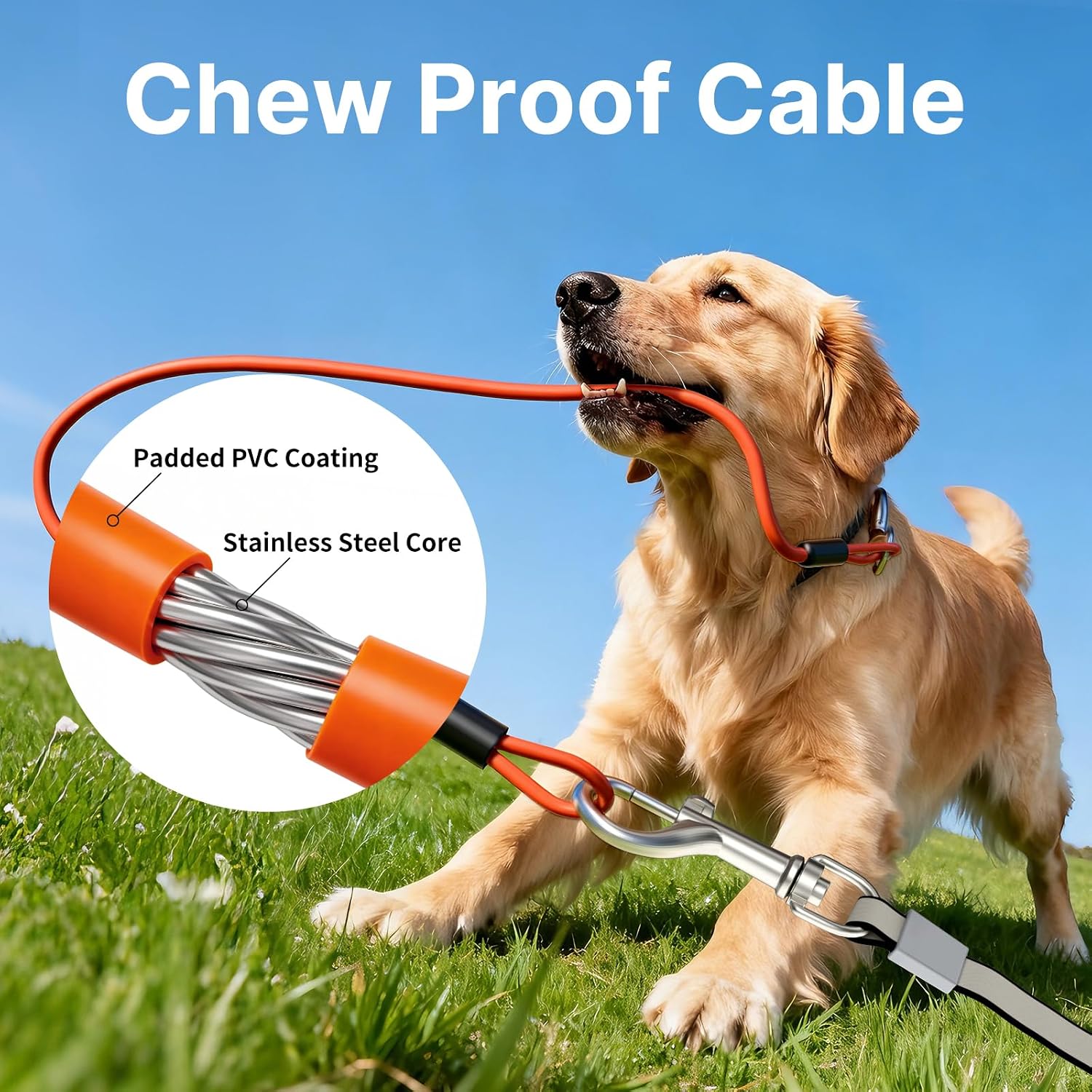 Detalle de Petsuper 3M Retractable Dog Lead with Chew Proof Steel Cable and Built-In Poop Bag Dispenser