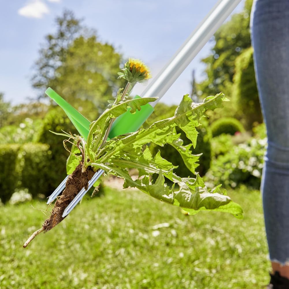 Thumbnail 6 de OFFCUP 1 m Manual Weeder with 3 Claws and T-Handle