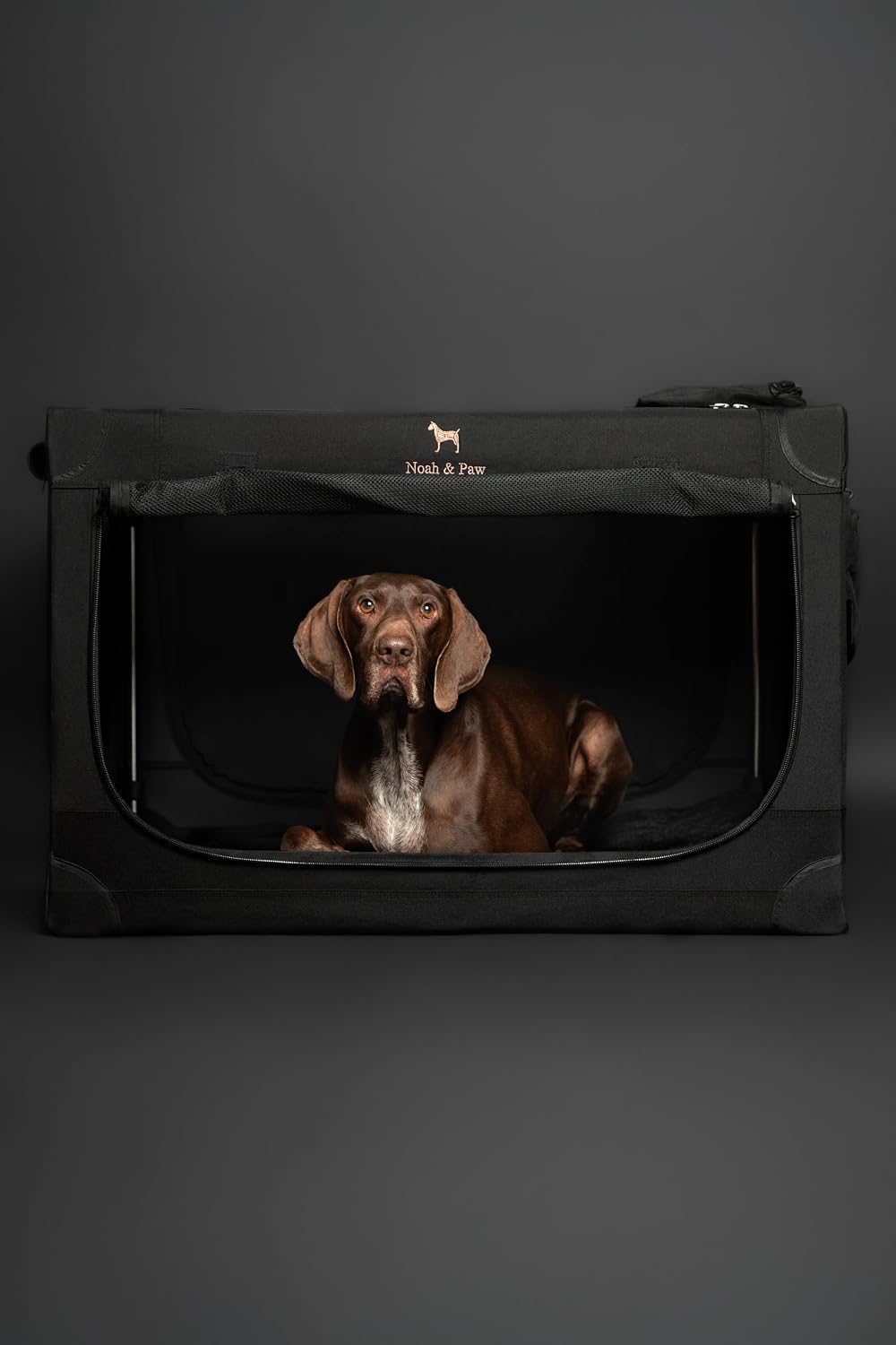 Thumbnail 6 de Noah & Paw 36 inch collapsible dog crate