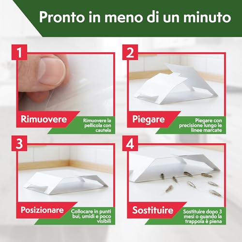 Detalle de Pattler Trappola Pesciolini d'Argento con Finestre di Controllo – 12 Pezzi