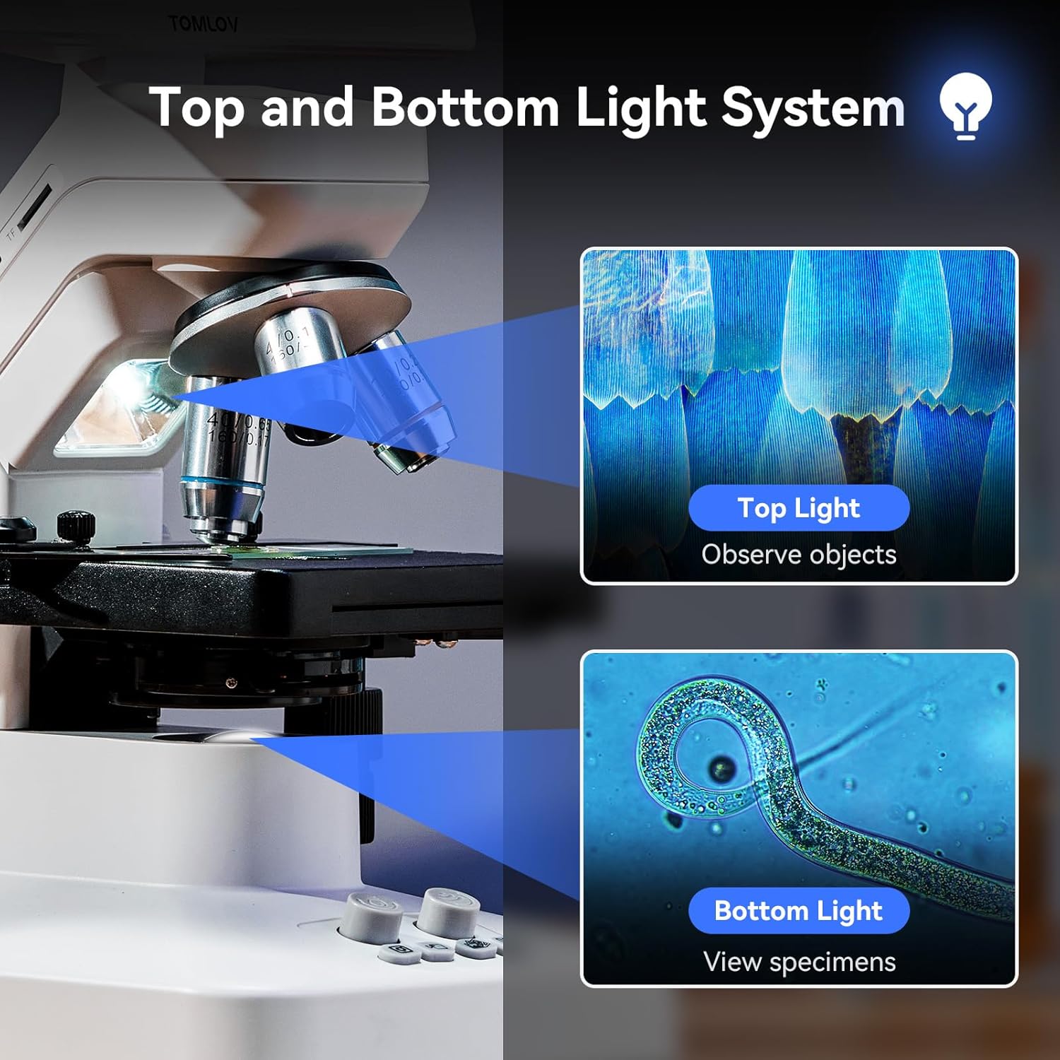 Thumbnail 6 de TOMLOV DM301 Max 7-inch digital biological microscope with HDMI, WiFi app control & measurement scale