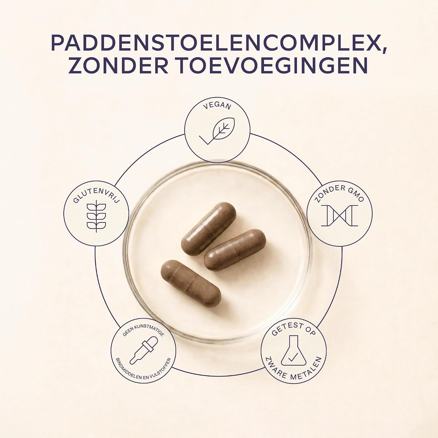 Detalle de AAVALABS Pruikzwam supplement met 30:1-extract, zink, Reishi en Cordyceps