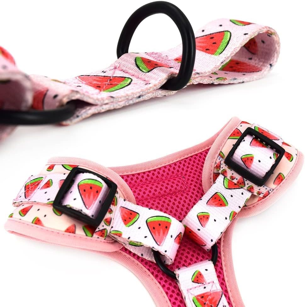 Detalle 2 de Coowone Dog Harness and Leash Set, Neoprene