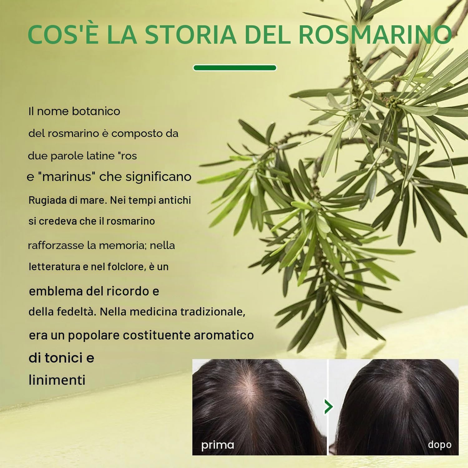 Thumbnail 4 de Organics Rosemary Mint Olio per Capelli