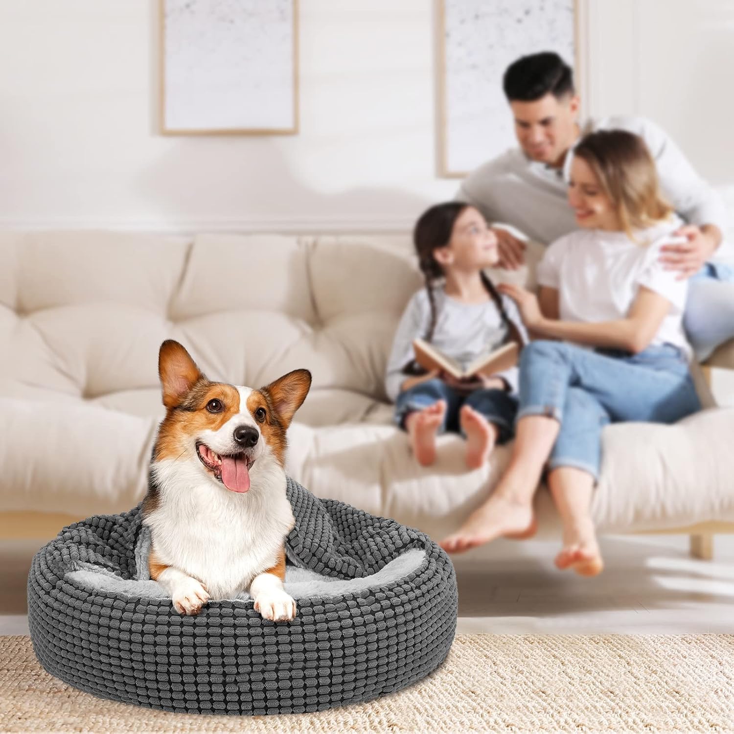 Thumbnail 6 de JoeJoy cuccia per cani di taglia media rotonda (66 x 66 x 15 cm) con coperta lavabile