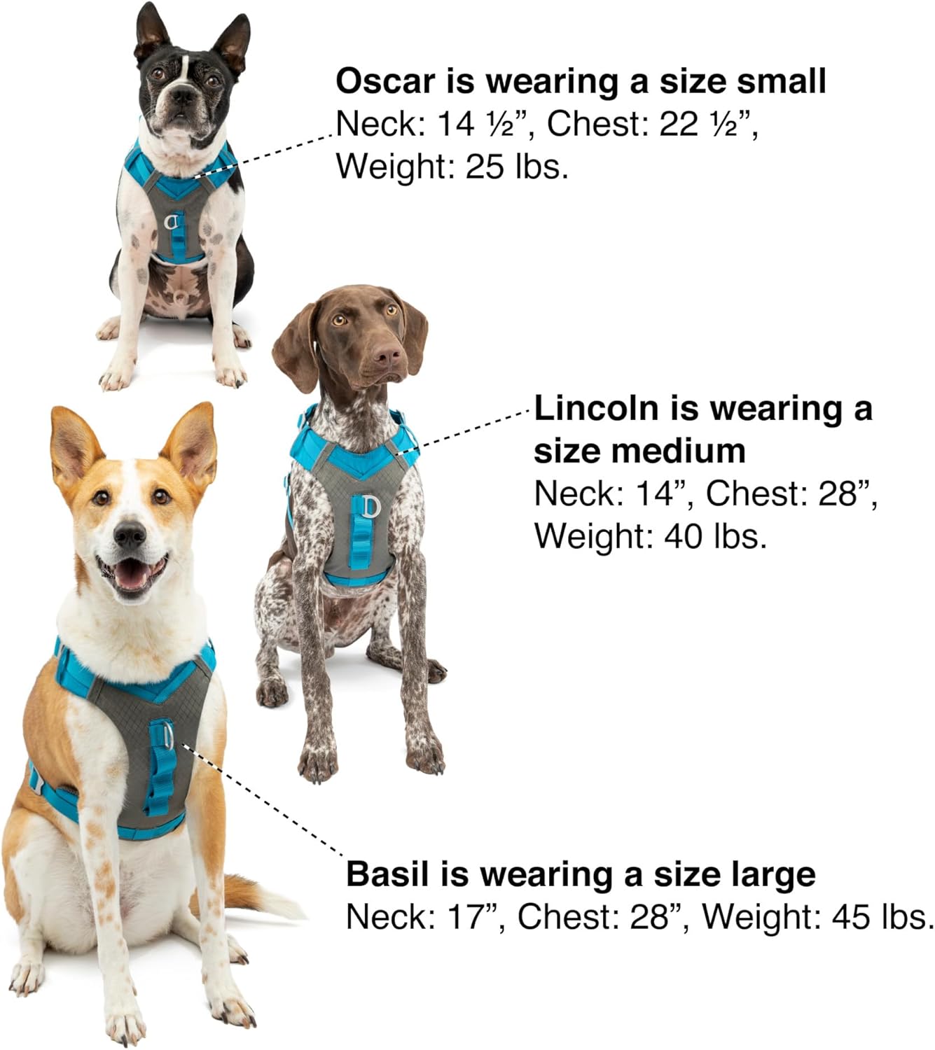 Thumbnail 6 de Kurgo Journey Air Hundegeschirr – gepolstertes, leichtes Ripstop-Gewebe mit reflektierendem Rand, blau (M)