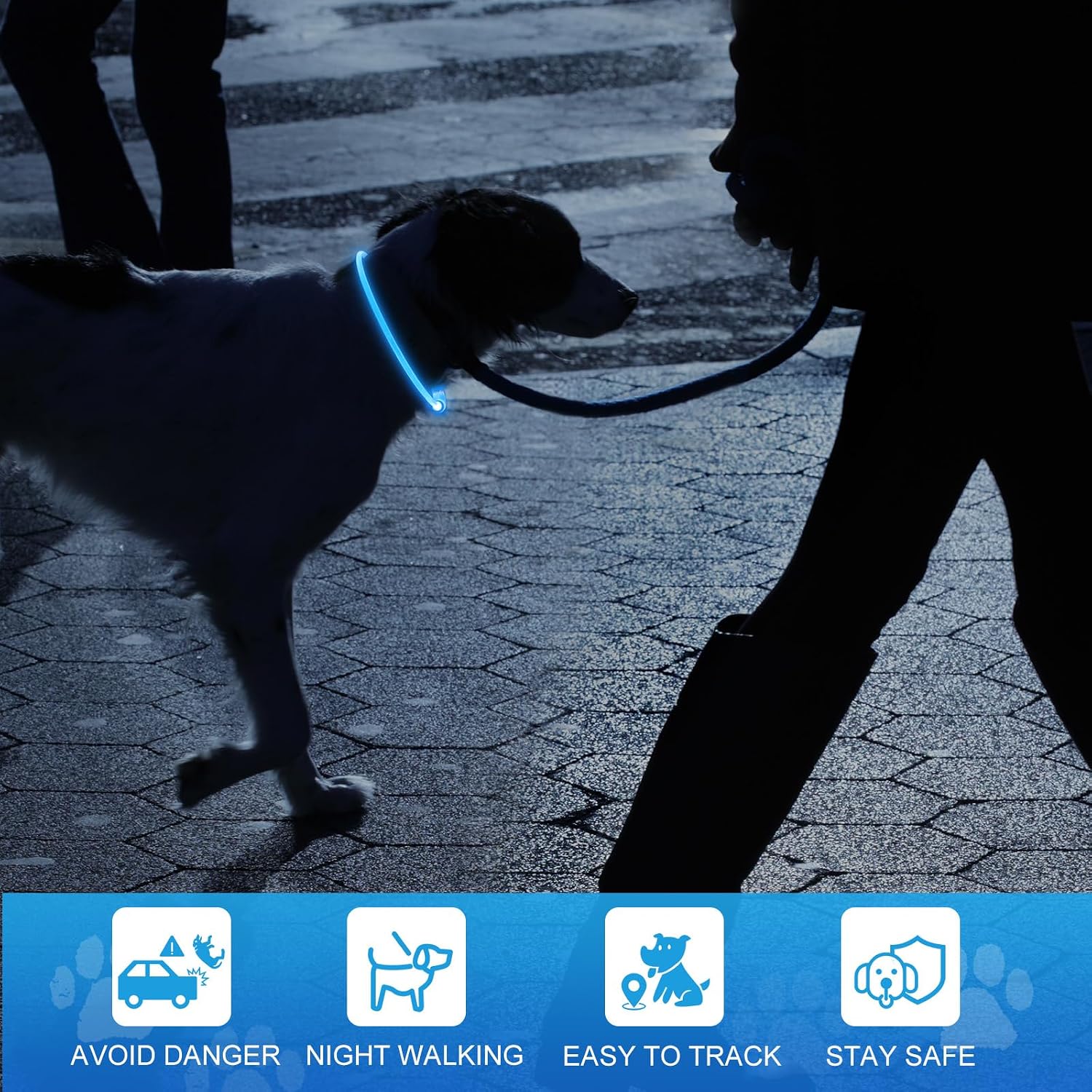 Detalle 2 de NOVKIN Lighted Dog Collar