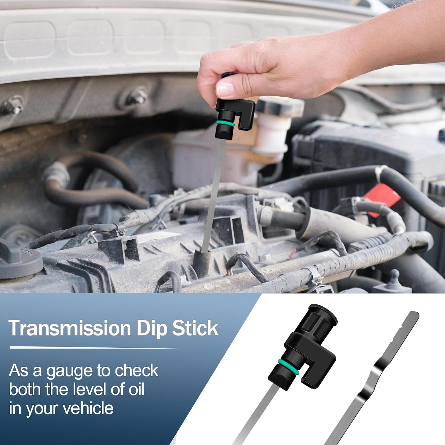Detalle de VerRich Transmission Dipstick 31086-JA00A