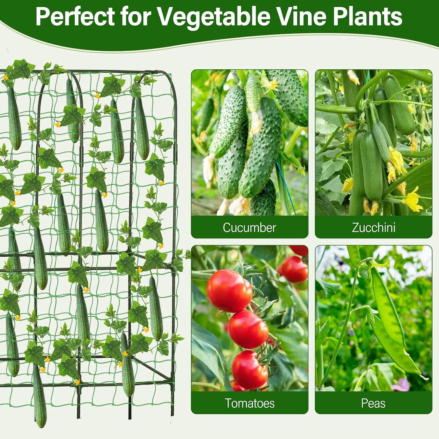 Detalle 2 de Garden Trellis with Planter, 65 x 50 Inches