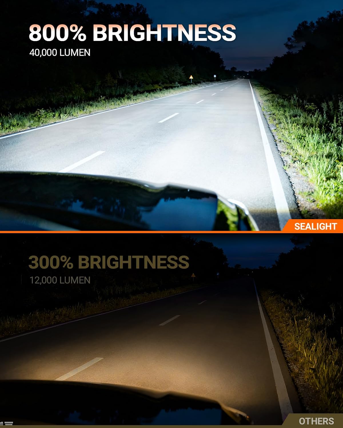 Detalle 2 de SEALIGHT H11 40000LM Fog Light Bulbs