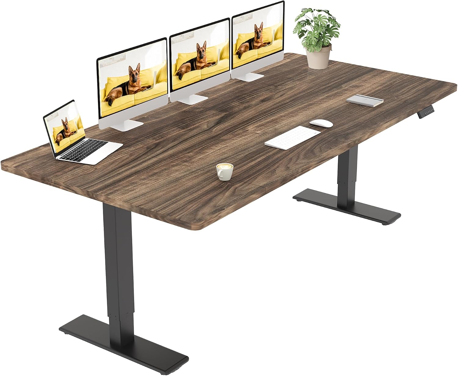 Detalle de SANODESK Q1 Pro Bureau Debout 200x80cm