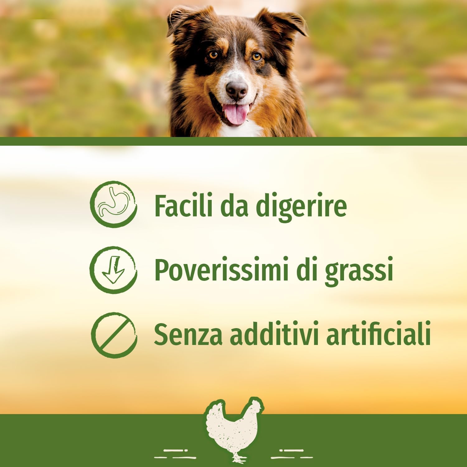 Detalle 2 de SmartBones Ossa masticabili Mini Pollo – Snack da masticare con pollo, 18 pezzi