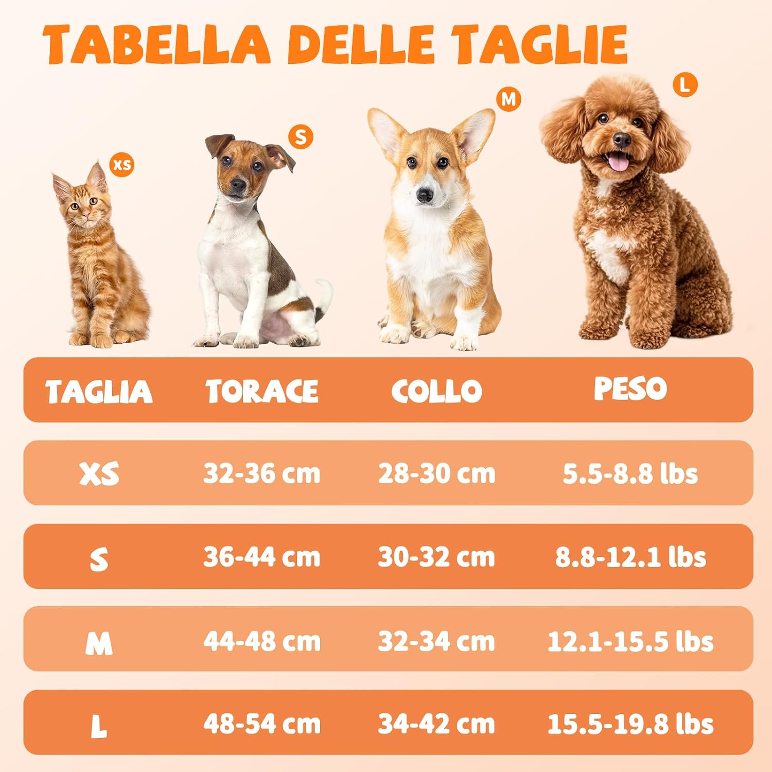 Detalle 2 de COMSLE Pettorina con guinzaglio per cani taglia piccola XS, morbida imbottitura marrone con inserti riflettenti